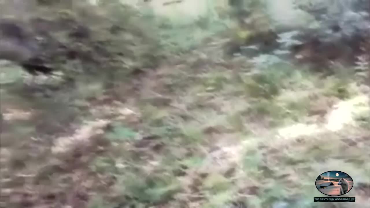 Exploring the wildcamp campsite