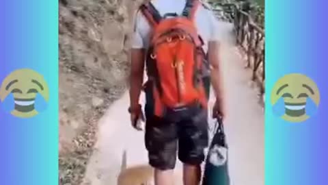 Funniest Cats and Dogs 🐶🐱 | Funny Animal Videos #7