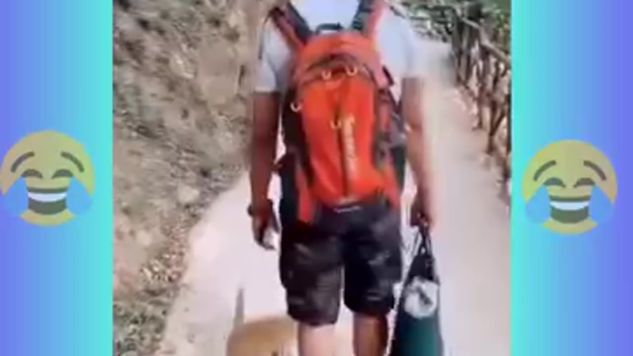 Funniest Cats and Dogs πΆπ± | Funny Animal Videos #7