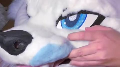 Furry Douyin #17
