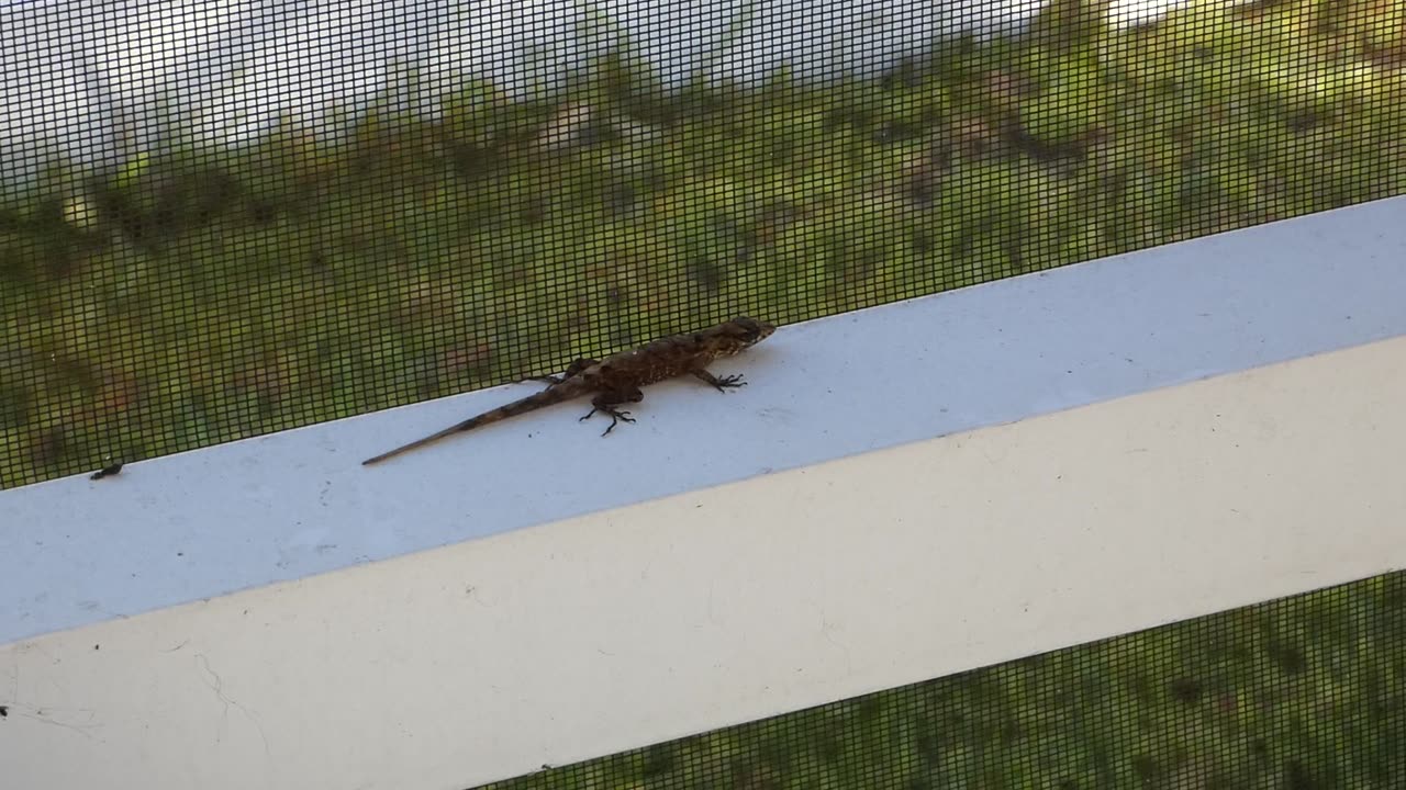It's a beautiful Florida morning