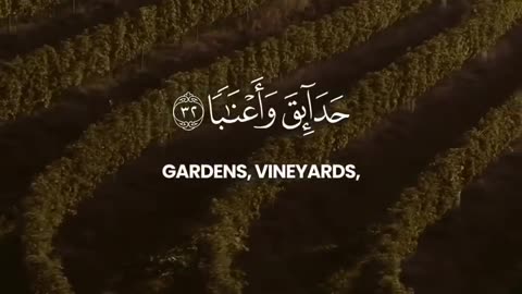 Quran #quran #quranrecitation #islam #ayat #deen #englishsubtitle