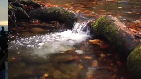 Meditation music for relaxing mind ||
