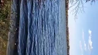 Foot lake