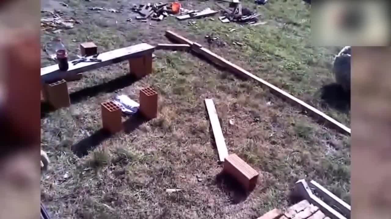 Sheep Million Views Funny Video