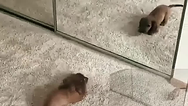 Scare yourself