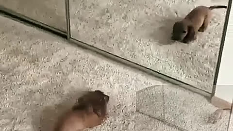 Scare yourself