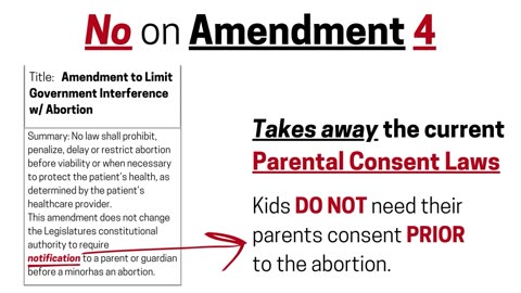 Vote NO on Amendment 4 (video 2)