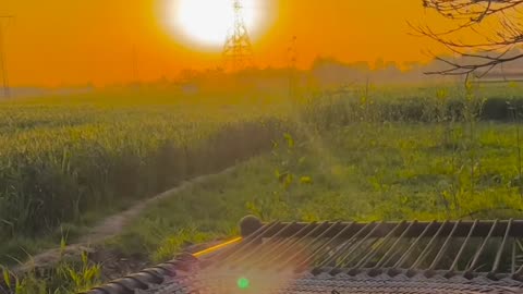 Nature vibes status vedio 05