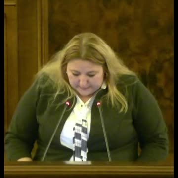 162517_IOVANOVICI_ŞOŞOACĂ_Diana