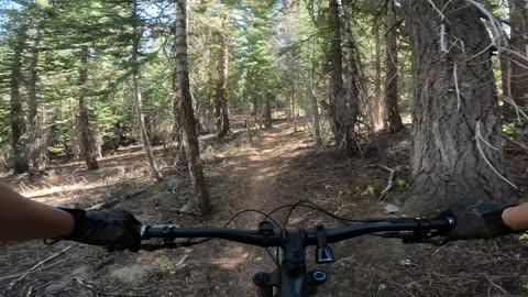 [MTB] Tahoe Rim Trail (TRT), Spooner Section; Part 2 (Lake Tahoe, NV)