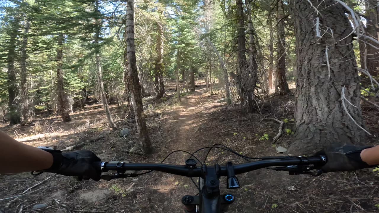 [MTB] Tahoe Rim Trail (TRT), Spooner Section; Part 2 (Lake Tahoe, NV)