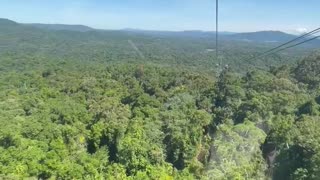 Rainforest view
