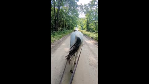 Oakley - line driving down the road - 17 July 2024