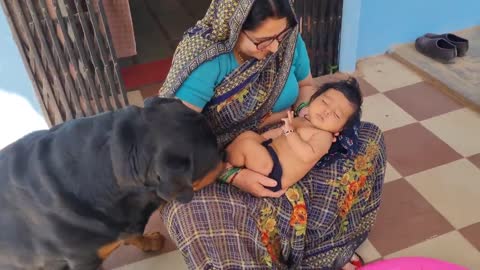 Jerry and Aaru are made for each other.Dog protecting baby