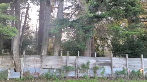 Arana Gulch D.I.Y. Fence (no narration)