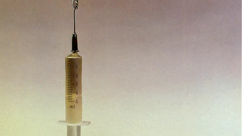 Géniusz ¬ Maradj köztünk