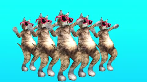 Comic Pussycat Moves in Blue Environment in Stylish Rhythm stock video...