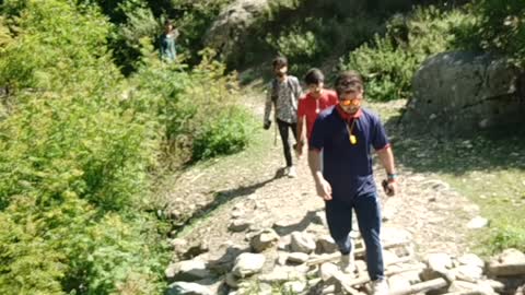 JUNGLE ADVENTURE