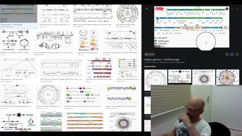 was bedeutet primer machen? wieso ist pcr keine "suche"
