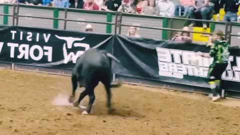 The Dangerous Game of Bullfighting in Spain"