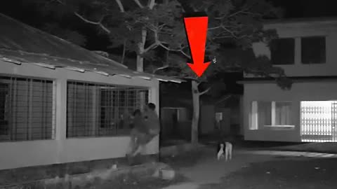 Real Horror video