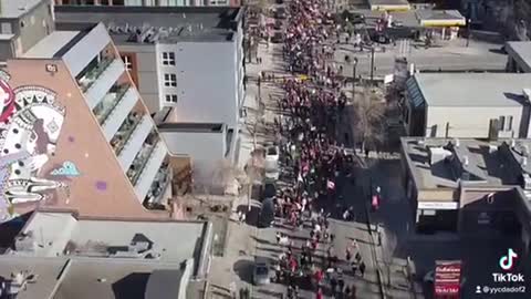Calgary freedom rally