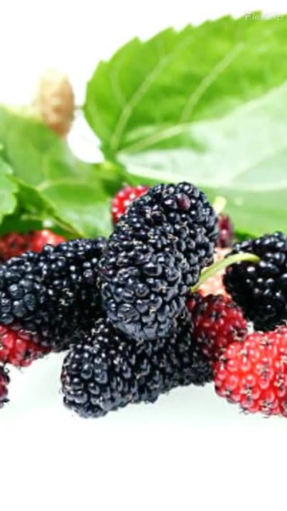 Many Benefits OF shetut