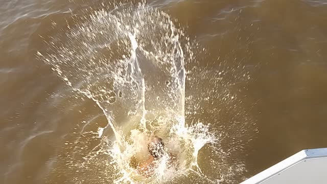 Hands tied behind back into the water