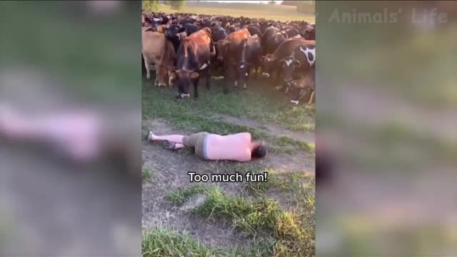When he wake up he was really scared!