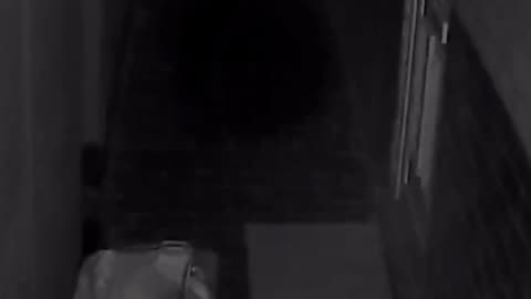Most INSANE capture caught on our security camera! What happened to her⁉️
