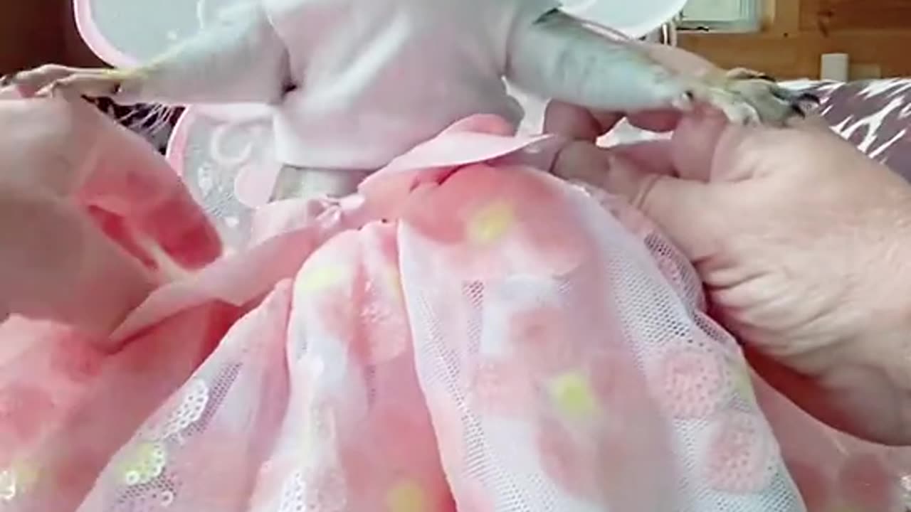 Cute squirrel wearing beautiful skirt