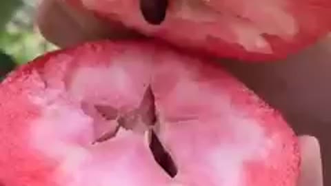 Beautiful voice in Surah Rehman Al Quran