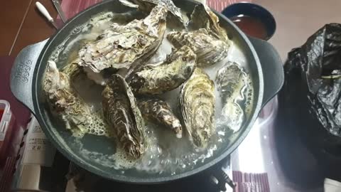 boil oysters