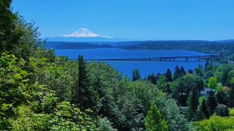 Found a hidden viewpoint in Seattlea