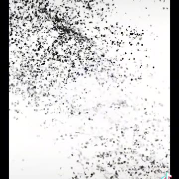 See 👀 you Tuesday night 🌙