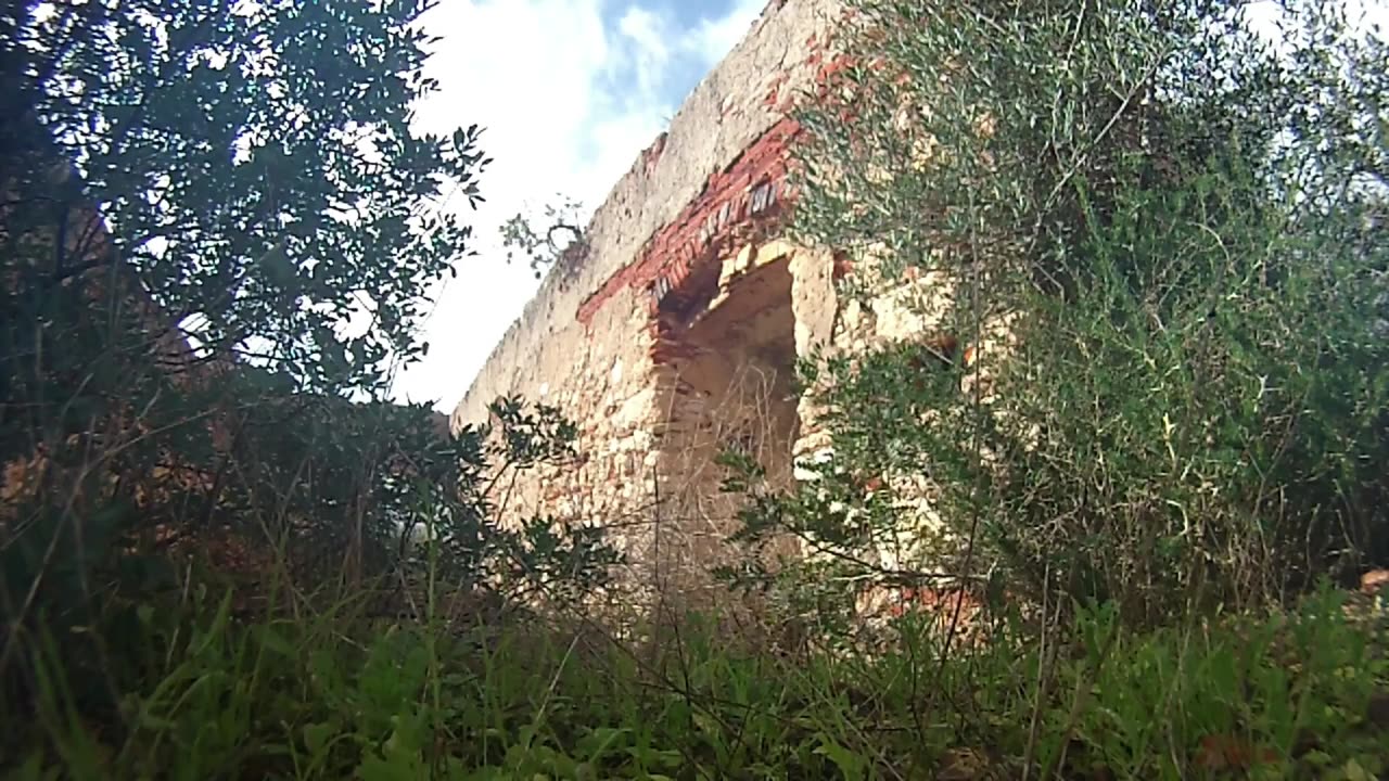 Radu Gyr - Din Vigoda-n Vinogradar