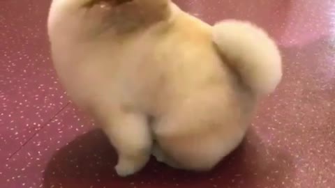 Fat and fat