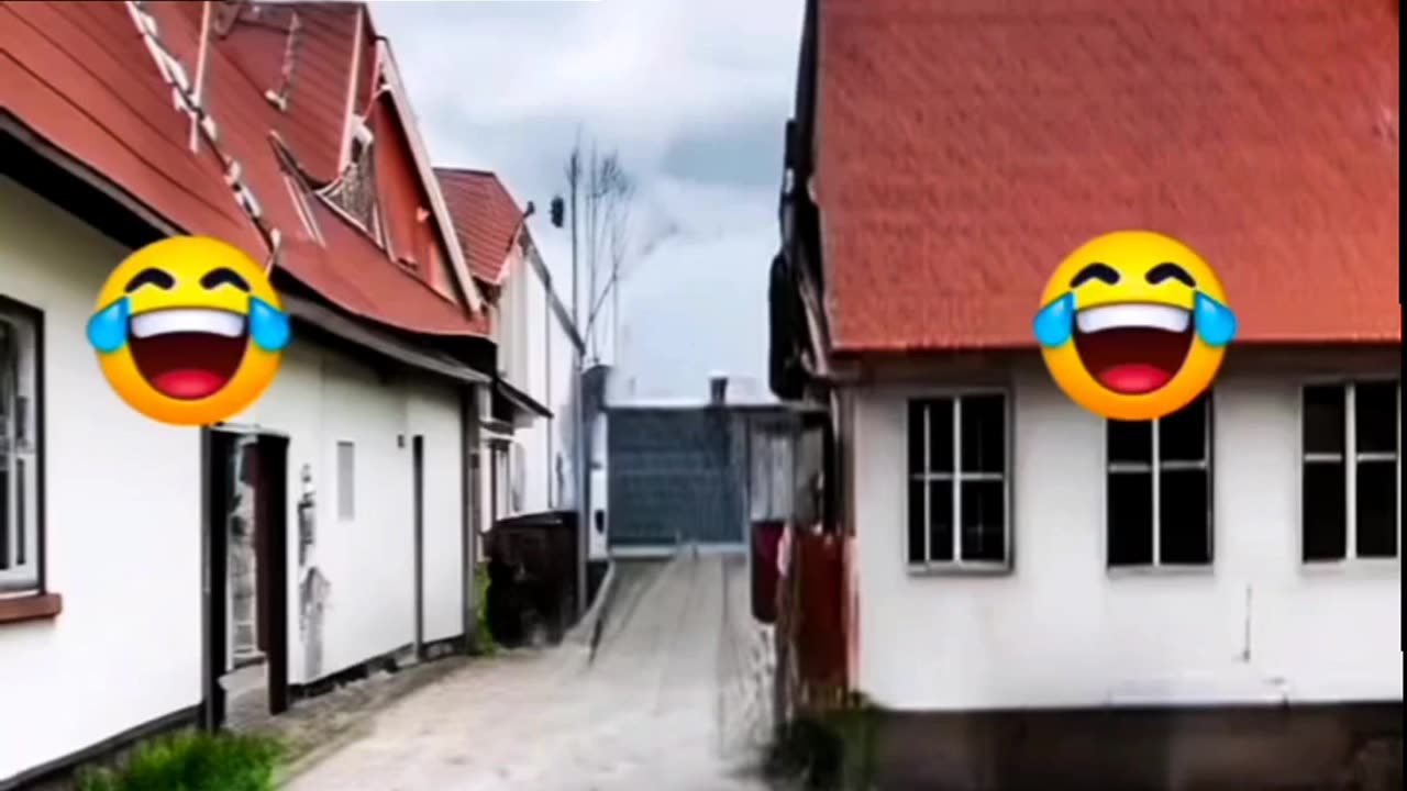 Funny videos | viral funny videos
