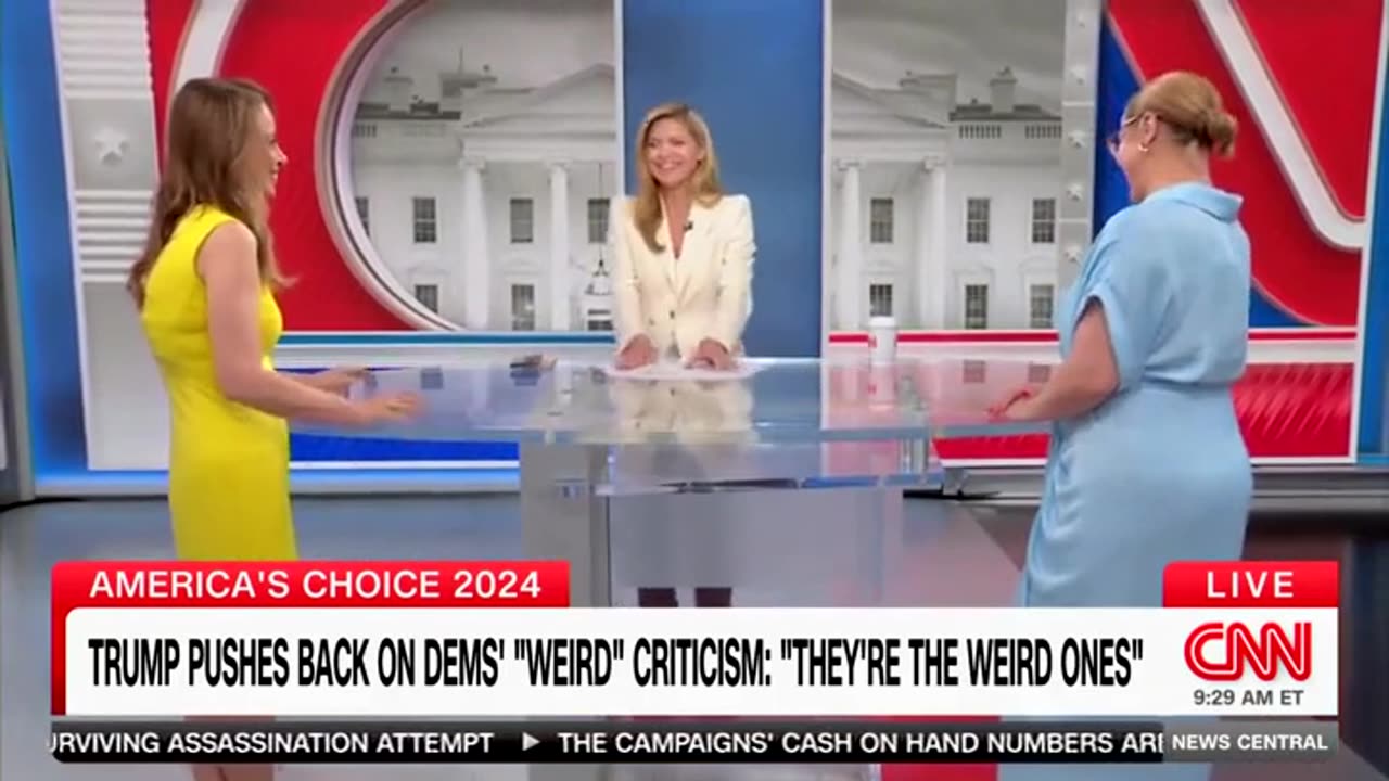 Dem Strategist Tells CNN Host Harris Will Be 'Defining Herself' With Ad Spending