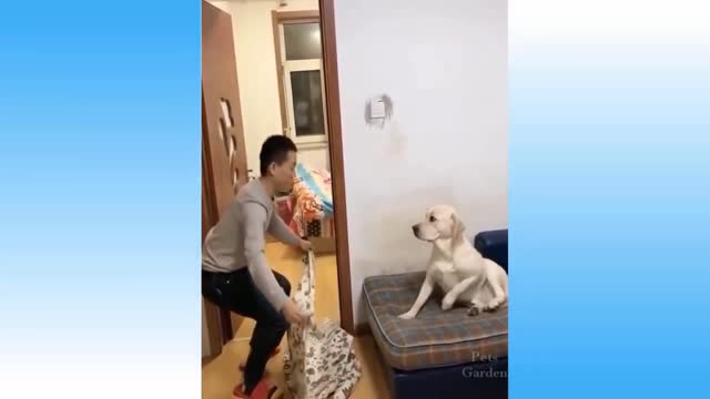 Man surprise the dog