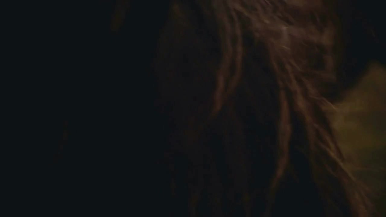 Close-up view of brown ears Icelandic horse and wane waving on wind