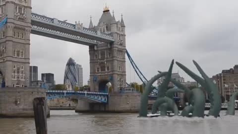 5 SEA SERPENT CAUGHT ON CAMERA