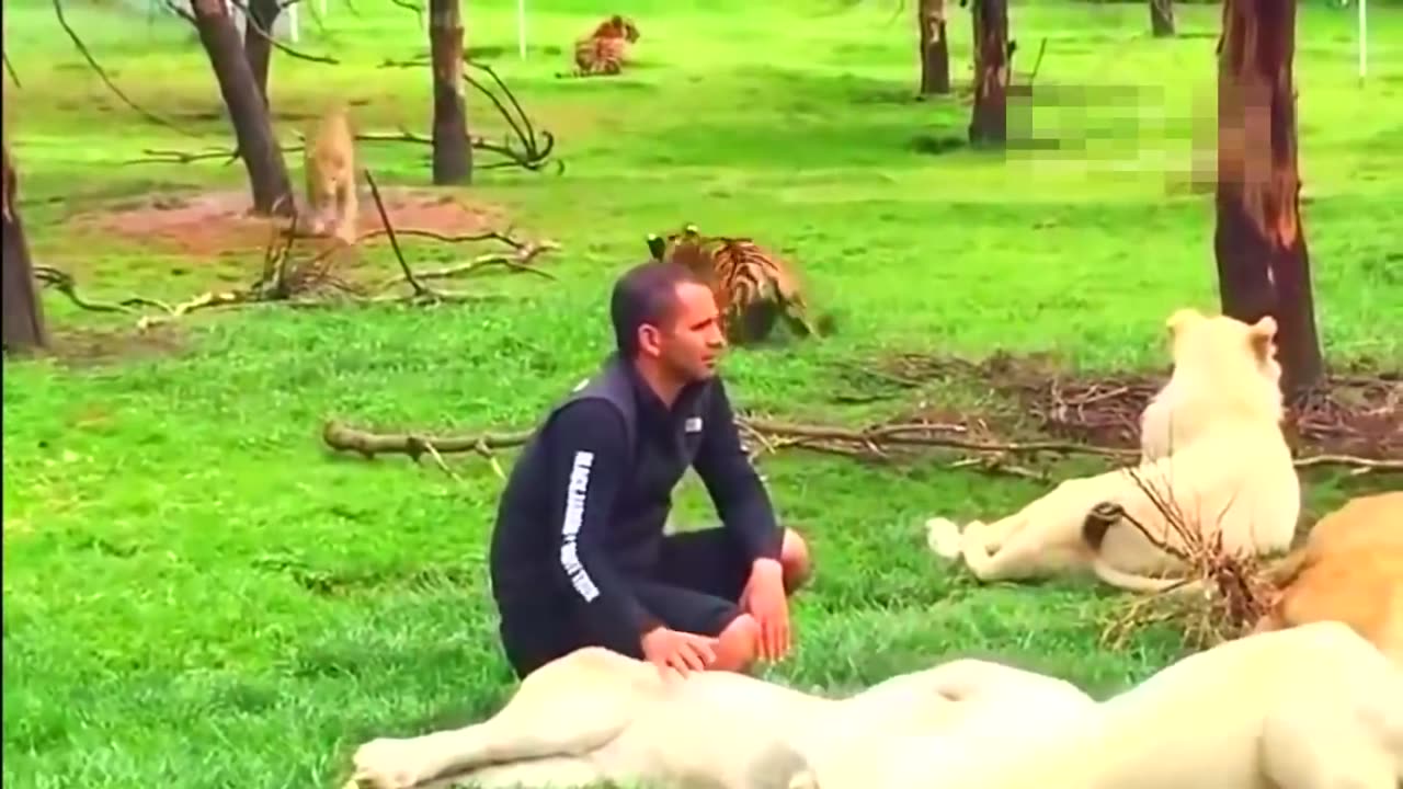 20 HERO ANIMALS THAT SAVED HUMAN