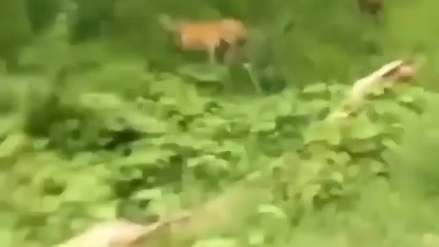 Would would you do?