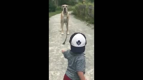 Baby's walking the dog