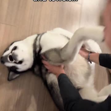 Absolute menace at bath time 🤷🏼‍♀️