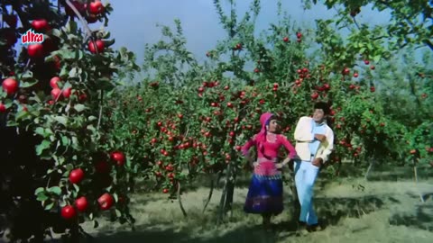 Jara Parda Hata Do Mukhda dikha do Ham Pyar Karne Wale Hain Koi Gair Nahin film Ek Phool Do Mali