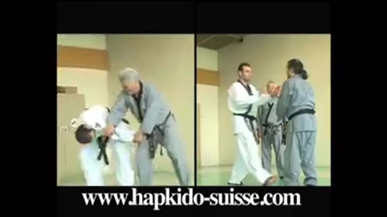 Hapkido