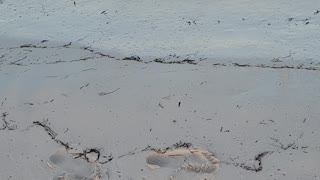 Walking along beach in Playa Mujeres, Mexico